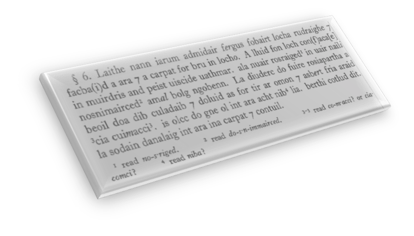 Text showing the words muirdris and peist 