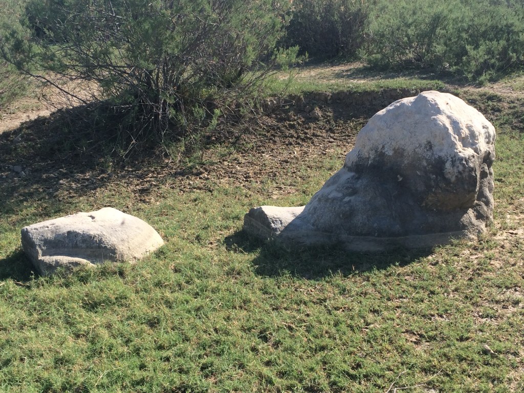 Front, western lion, Miletus. Photo: Lana Radloff.