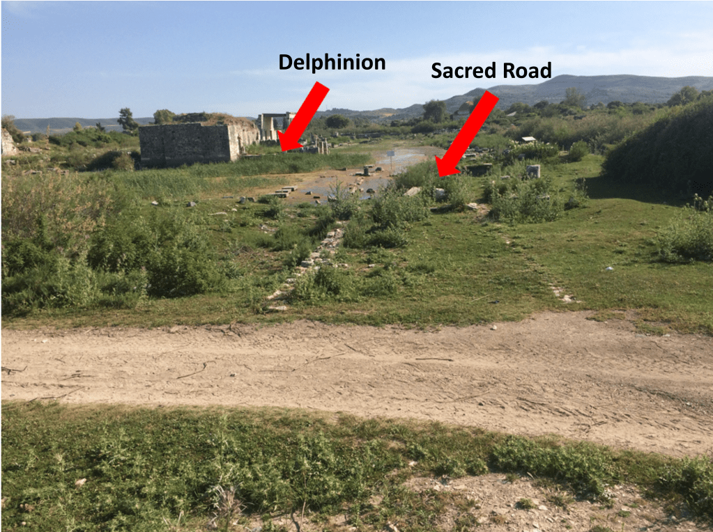 View from the shore of the Lion Harbor at Miletus looking southwest toward the Sacred Road that leads to the Temple of Apollo at Didyma. To the left of the Sacred Road is the Delphinion (Temple of Apollo Delphinios) partially submerged in water and, to its right, is the North Agora or “ancient marketplace” (obscured by shrubs). Photo: Lana Radloff.