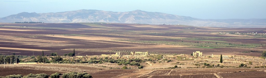 Panoramic view of Volubilis, looking west. There are several marble structures visible in the photo amidst vast fields of crops. Mountains are visible in the background. 
