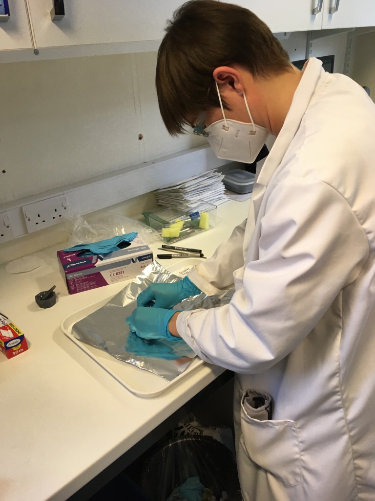 Photo of Dr. Emily Hold Crushing plants in a lab. She wears a white coat and turquoise gloves. 