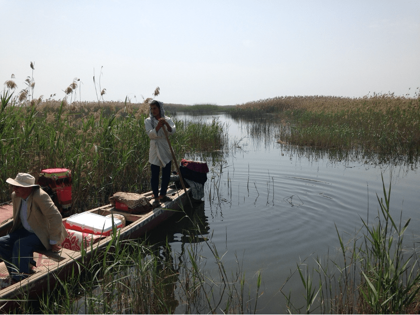 A boat sits stationary in a marsh on a sunny, clear day. One person sits in the boat, while the other person stands at the head of the boat with a long paddle.