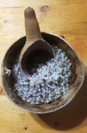 A halved dried gourd with a small gourd spoon and cooked barley in it sits on a wooden board 