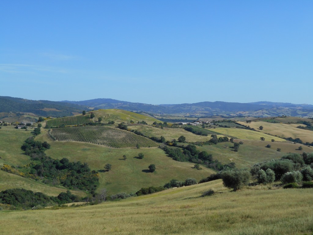 A rolling green hillside with trees, crops, and a few distant buildings