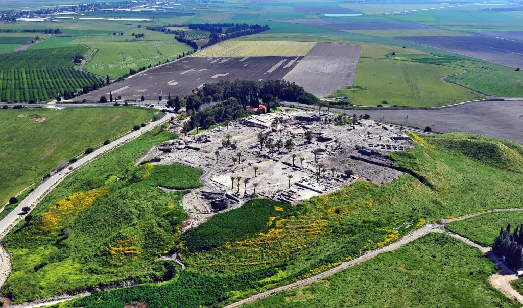 The site of Tel Megiddo sits atop a small grassy hill. There are some trees to one side of it, and crops in the background.