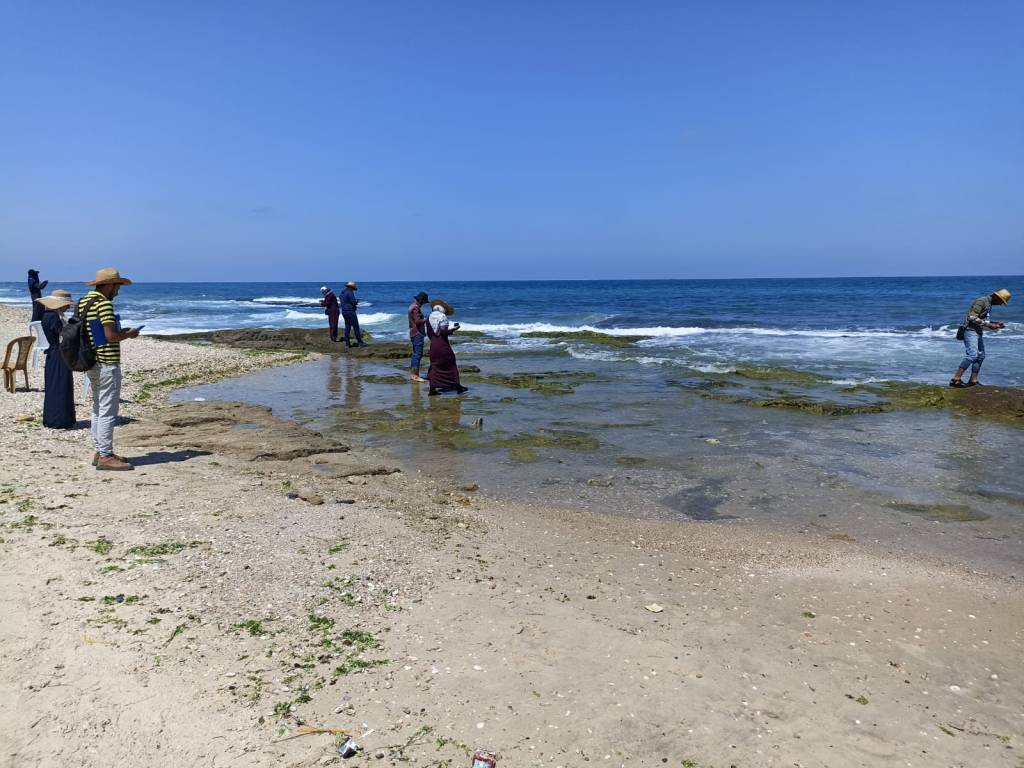 A coastal scene showing 8 people spaced out and documenting features in the shallow water. There is a blue sky in the background.