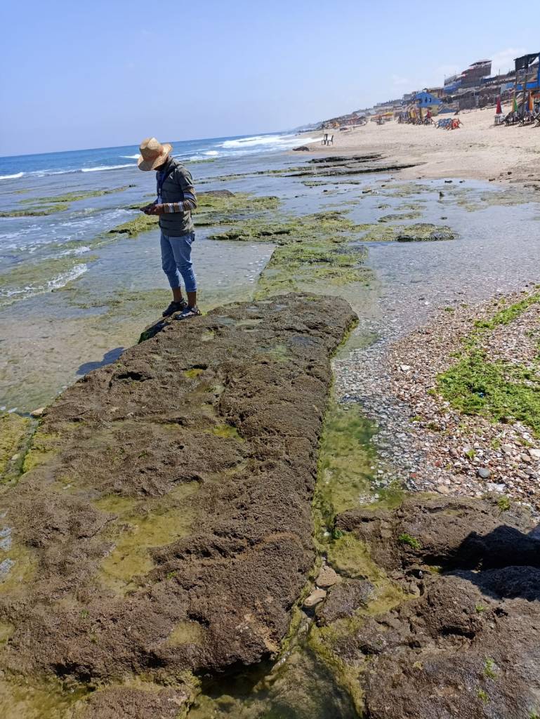A coastal scene with a single individual wearing a hat in the foreground documenting features in the shallow water. There is a beach, buildings, and blue sky in the background.