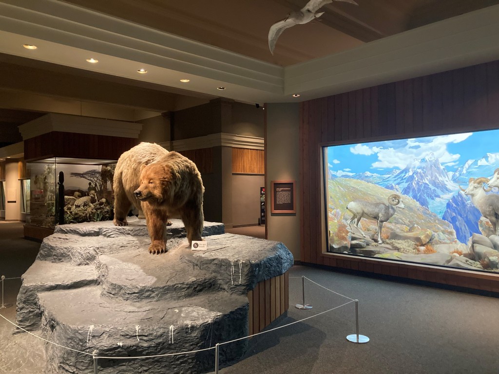 View of a gallery in the Carnegie Museum of Natural History in which a bear stands on top of rocks.