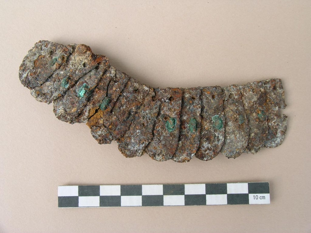 A fragment of Roman iron scale armour. There are twelve scales in the image. 