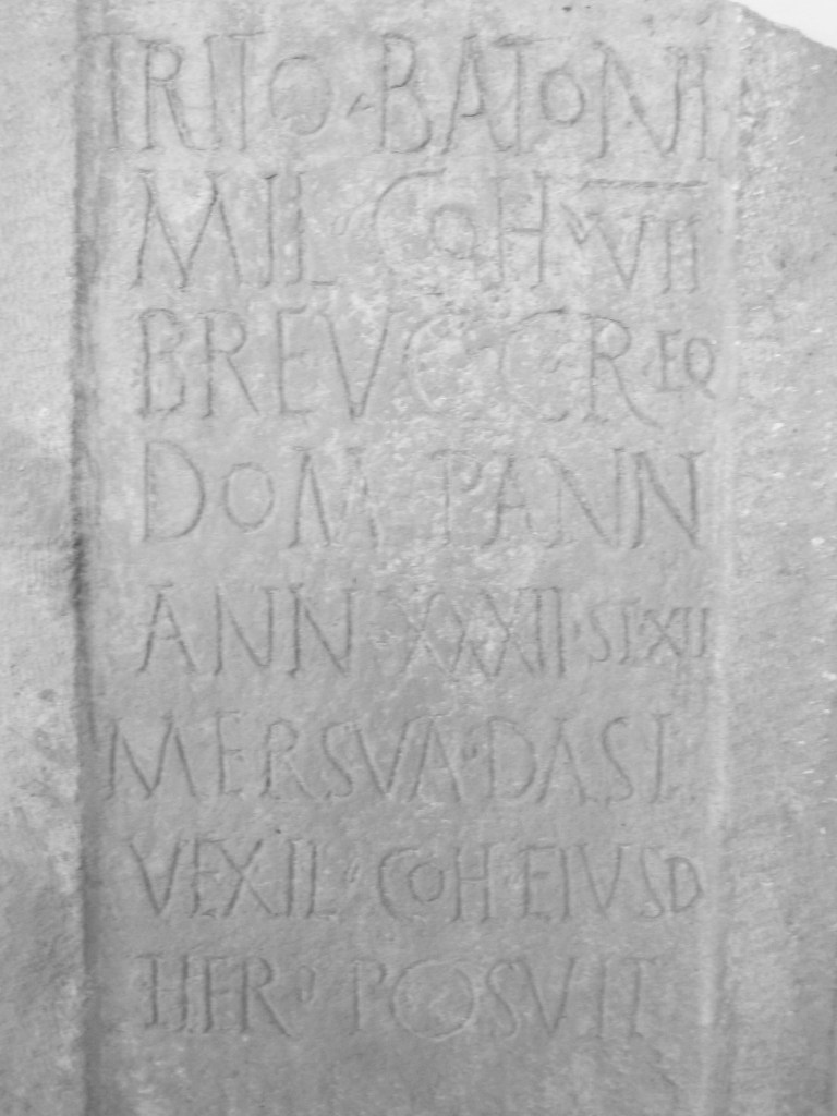 Image of a funerary stele with a Latin inscription.