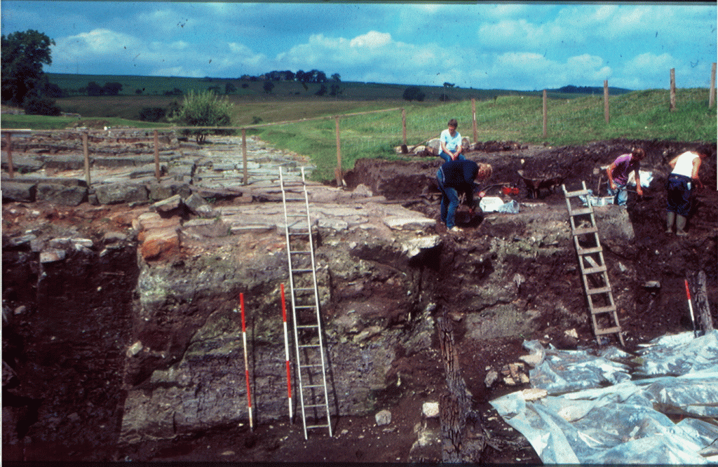 Volunteers working in a trench at Vindolanda. Two large ladders are visible in the foreground .