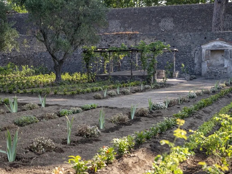 Blog #122: Cultivating Pompeii: Urban Agriculture and Resilience, AD 62-79 with Jessica&nbsp;Venner