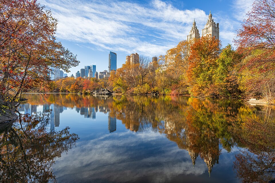 a picture of a lake in New York's Central fall. The lake is surrounded by trees, the leaves of which a varying shades of red, orange, and yellow. The New York high rises are visible in the background. 