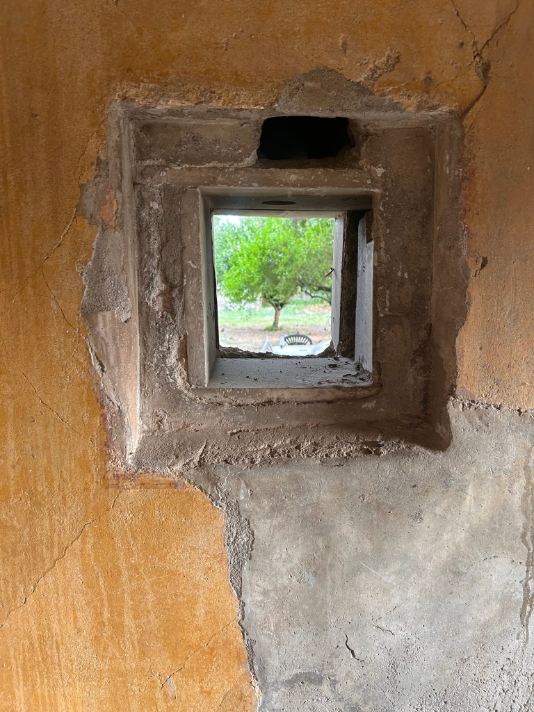 A photograph of a window in a painted wall through which a tree is visible.